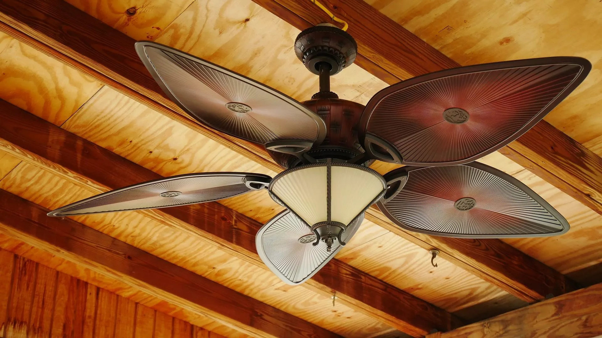 How To Clean Ceiling Fans For Guest Stays Ensure Your Guests Comfort