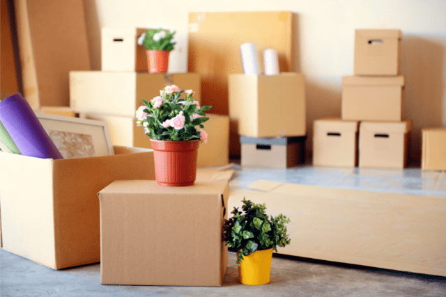 Cleaning Routine For Your Moving Day