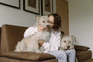 Read more about the article How To Clean Pet Hairs From Your Sofa