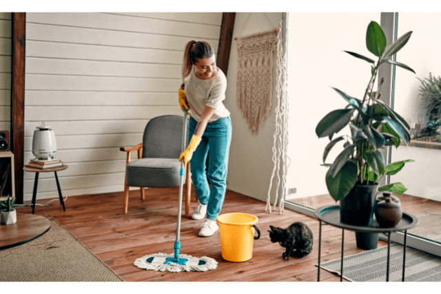 Secret House Cleaning Tips