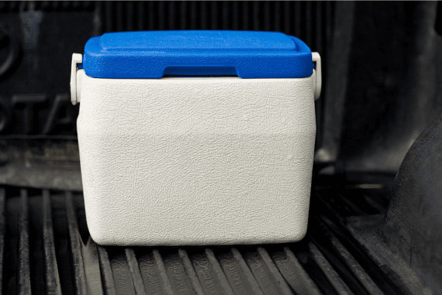 How To Clean A Beer Cooler