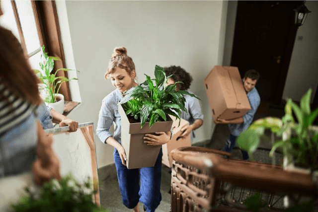 How To Move Plants To A New Home