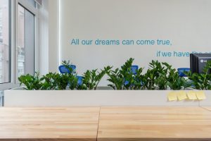 Read more about the article Transform Your Office Into A Green Space