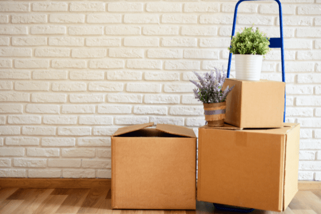 Things You Should Leave Behind When Moving