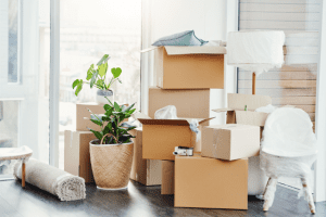 Read more about the article Things You Should Leave Behind When Moving