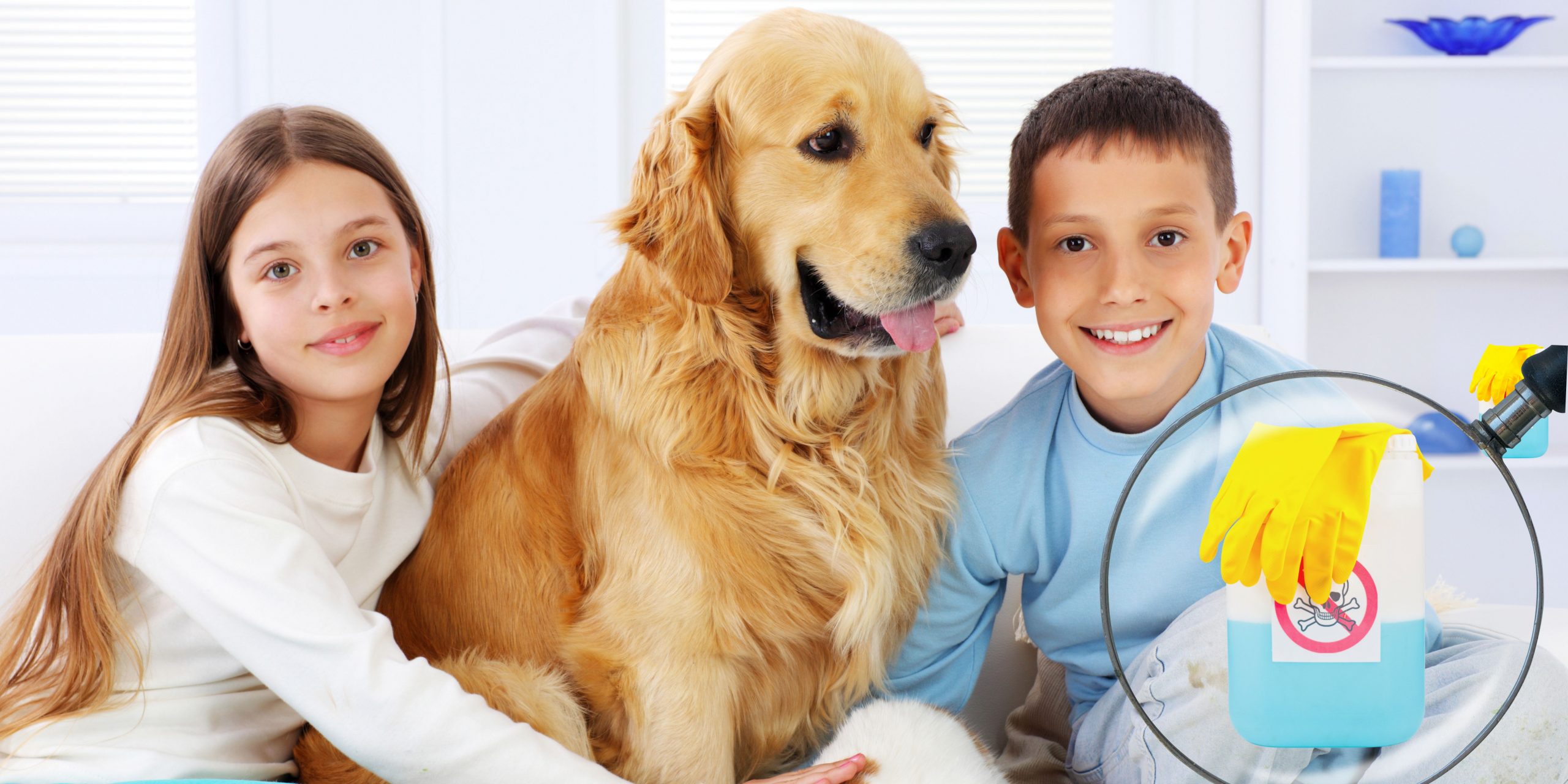 Read more about the article Are The Cleaning Products Safe For Pets And Children?