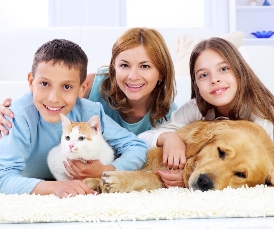 Are cleaning products safe for pets and children