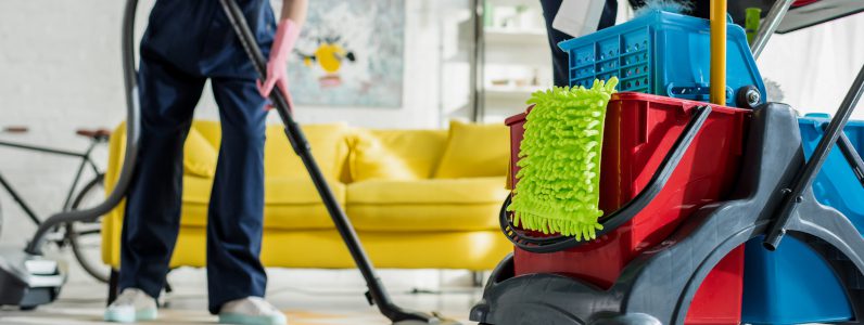 Read more about the article Indispensable Products For Cleaning An Apartment