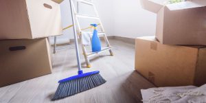 Read more about the article Moving Cleanup Requirements