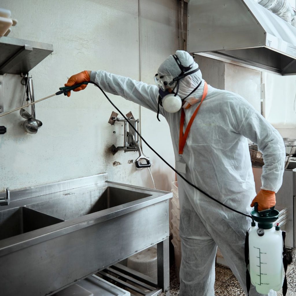 Why Is It Crucial To Maintain Proper Hygiene In A Restaurant - cleaning a kitchen