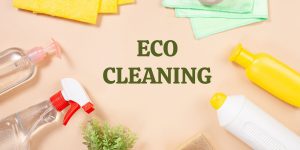 Eco-friendly Or Green Cleaning Products