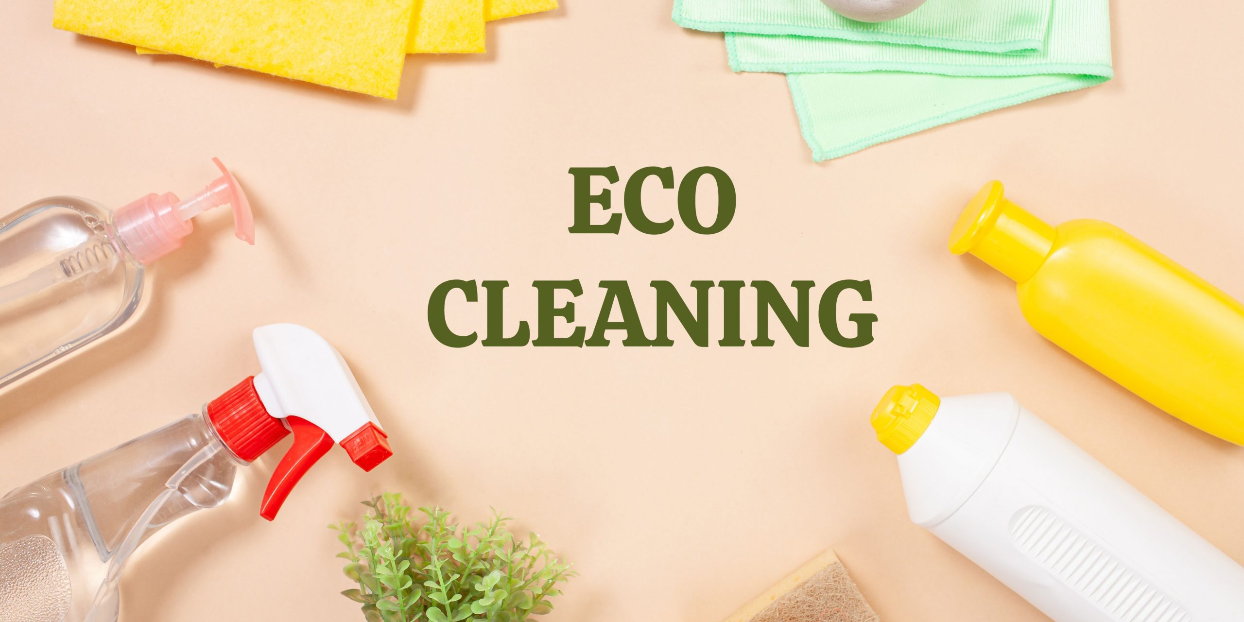 Read more about the article Eco-friendly Or Green Cleaning Products